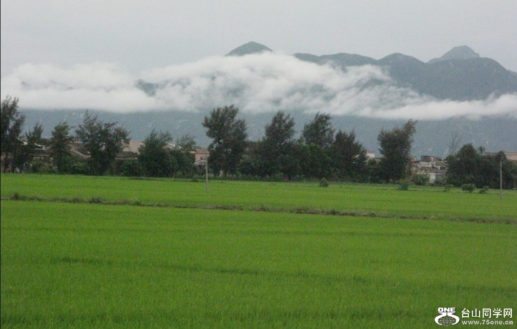86.jpg
