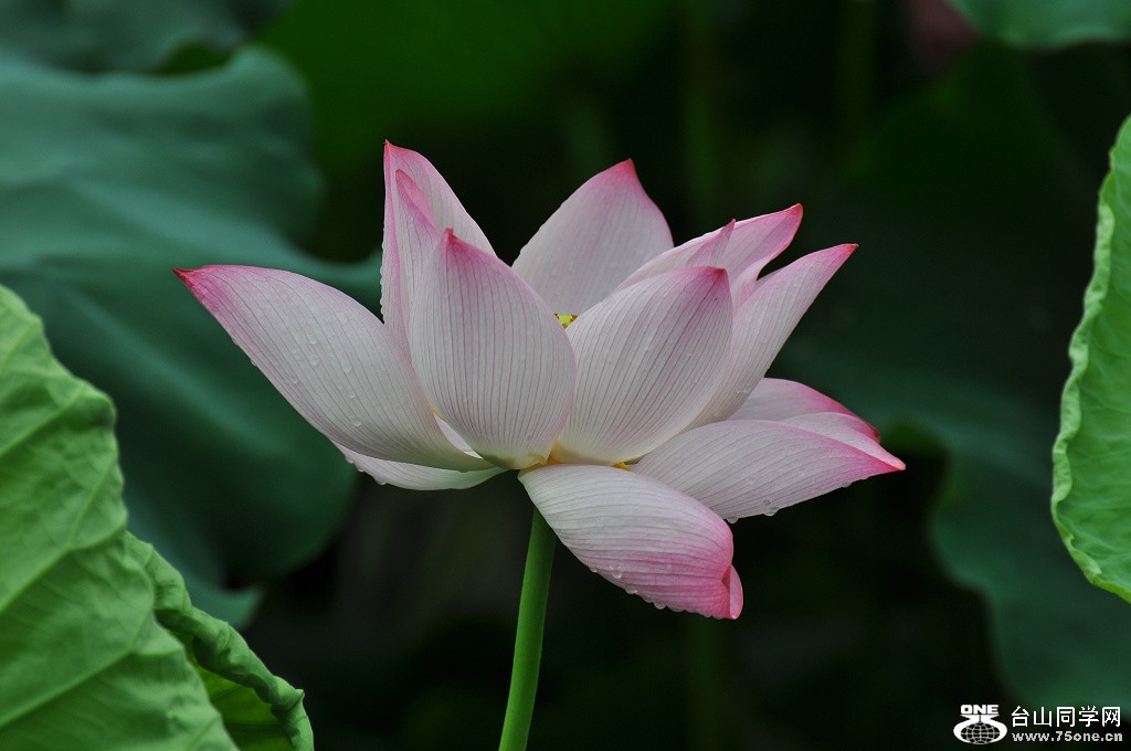 DSC_0032.JPG