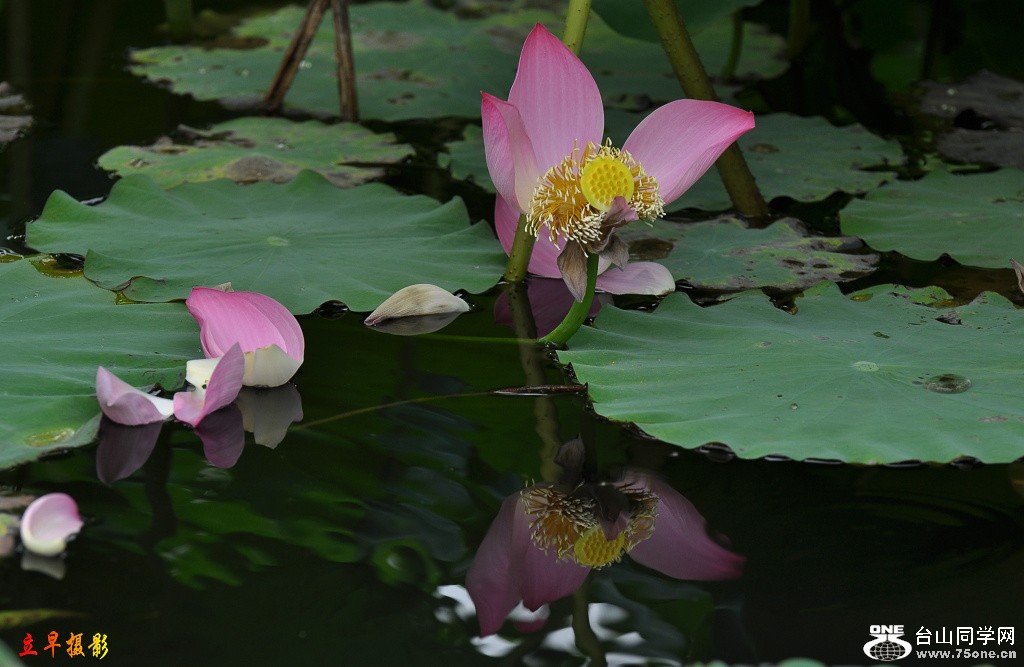 DSC_0058.JPG