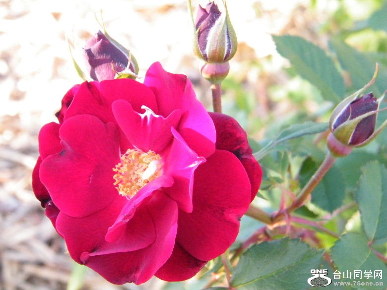 DSCF3398.JPG