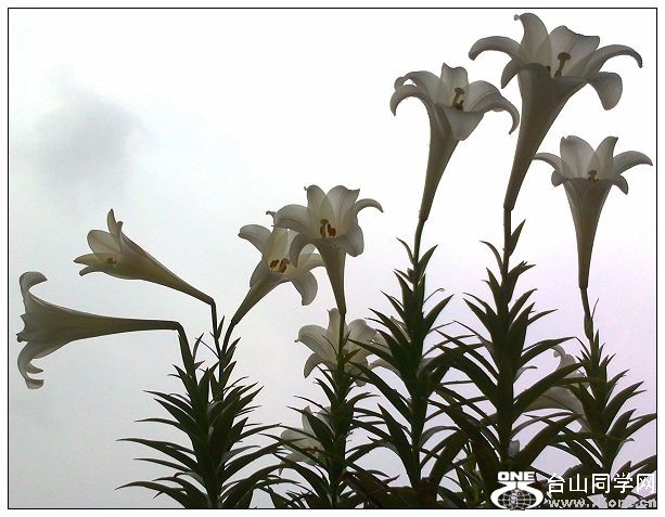 Ƭ0414.jpg