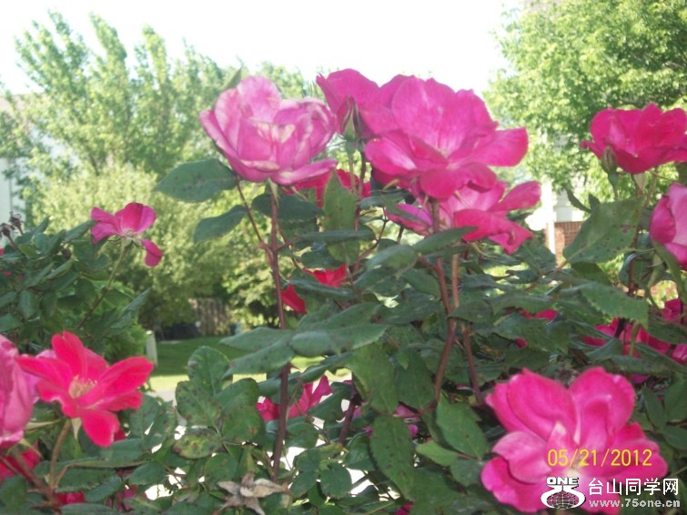 100_1662.JPG