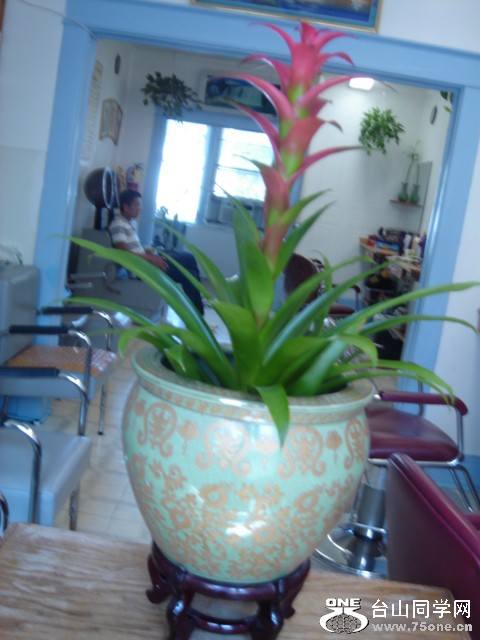 DSC03503.JPG