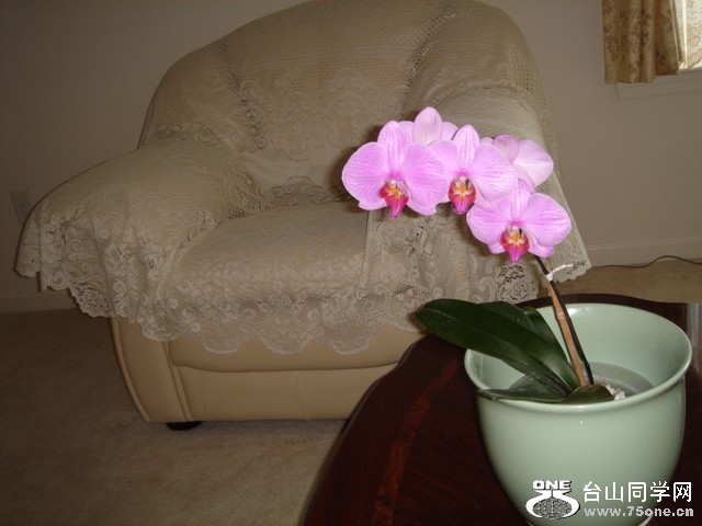 DSC03494.JPG