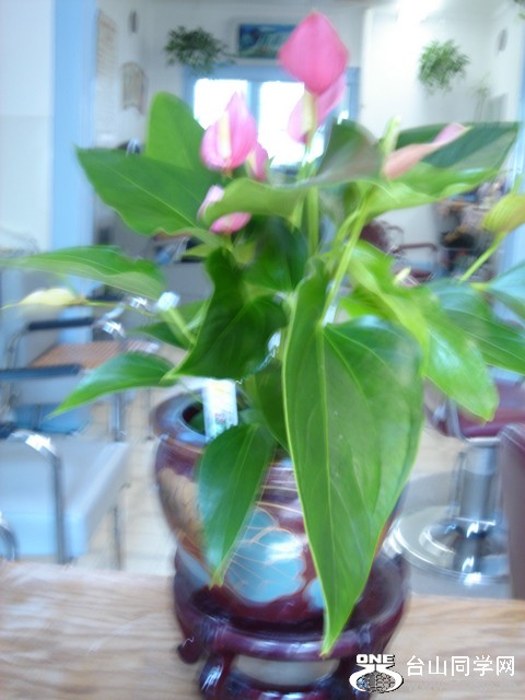 DSC03505.JPG