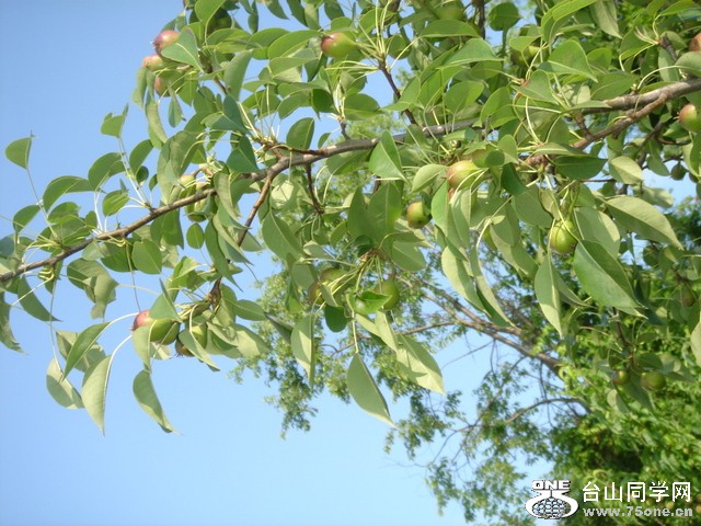 DSC03483.JPG