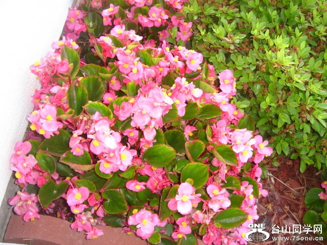DSC03472.JPG