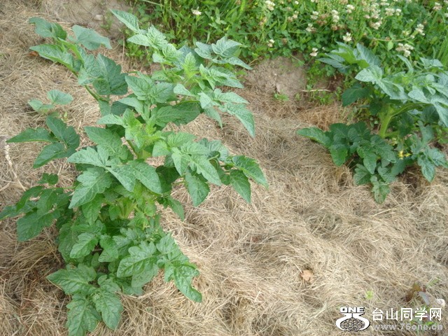 DSC03479.JPG
