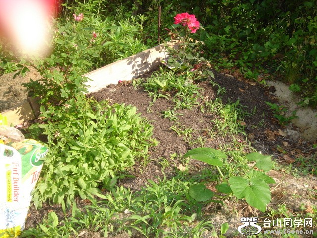 DSC03489.JPG