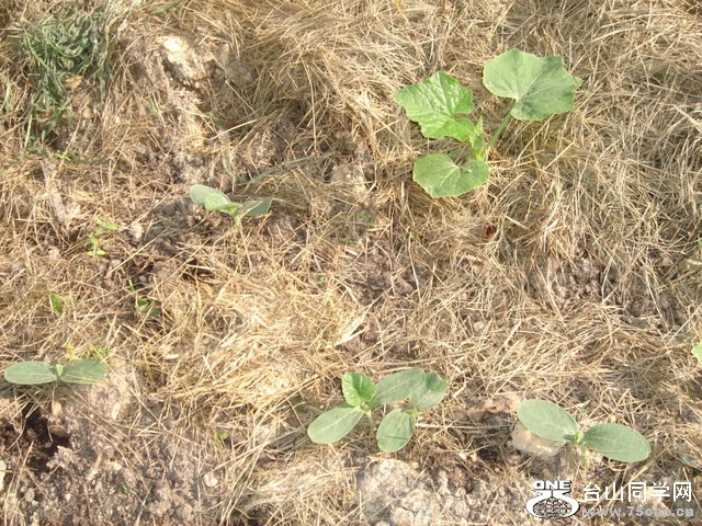 DSC03487.JPG