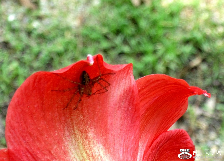 ϴ塢 009_conew1.jpg