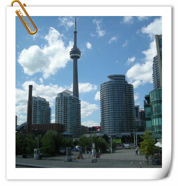 DSCN0478.jpg
