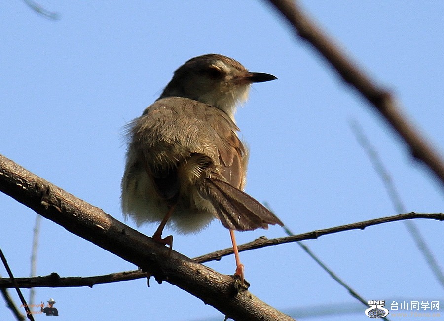 IMG_6805.jpg