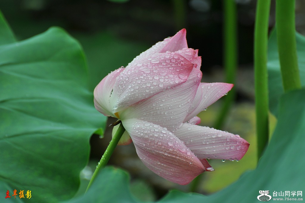 DSC_0102.JPG