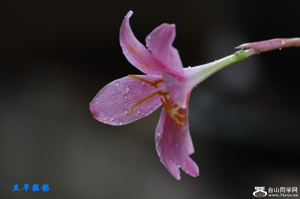 DSC_0007.jpg