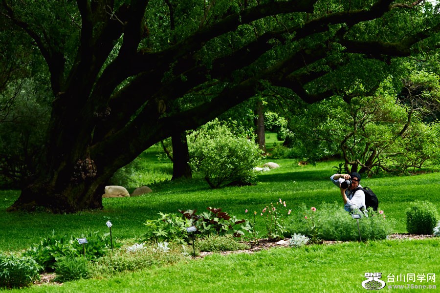 DSD_7458.jpg