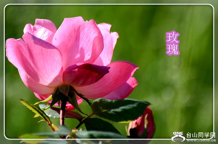 dsc_0052a.jpg