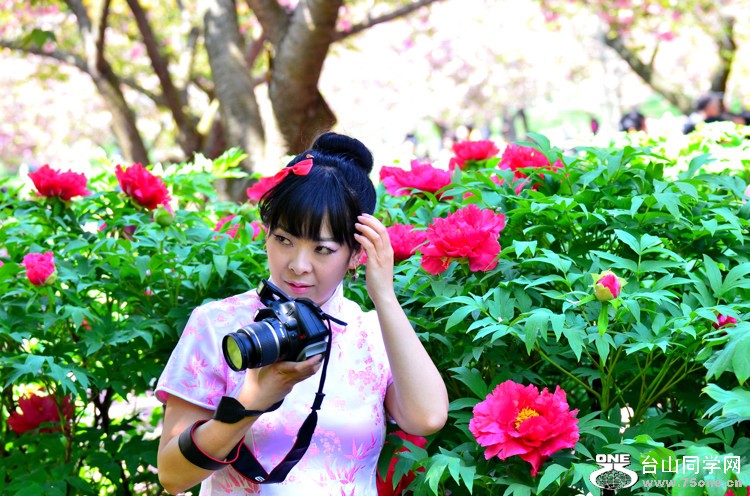 DSC_0879.jpg