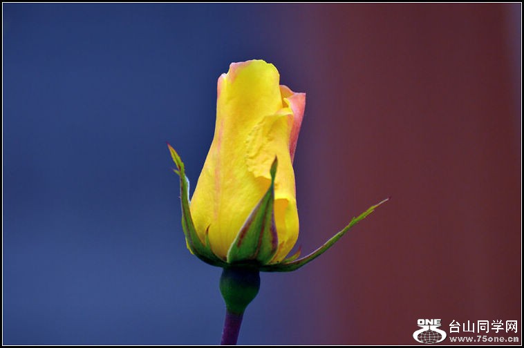 DSC_2337.jpg