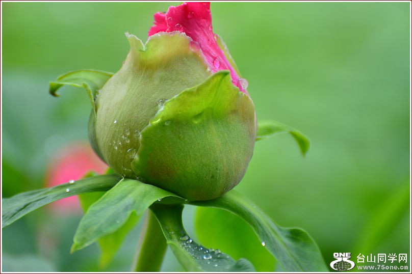 DSC_0872.jpg