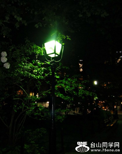 DSC09498.JPG