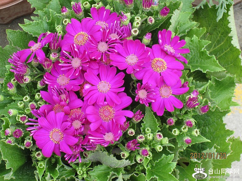 껨λ 122_conew1.jpg