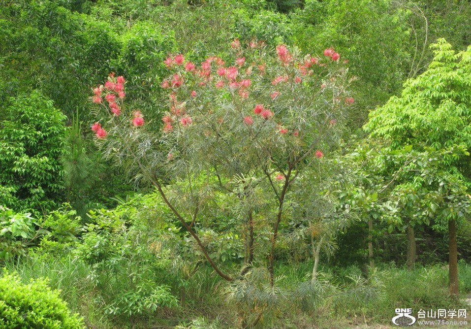 149.jpg
