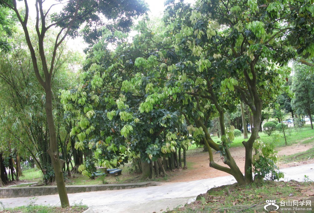 176.jpg