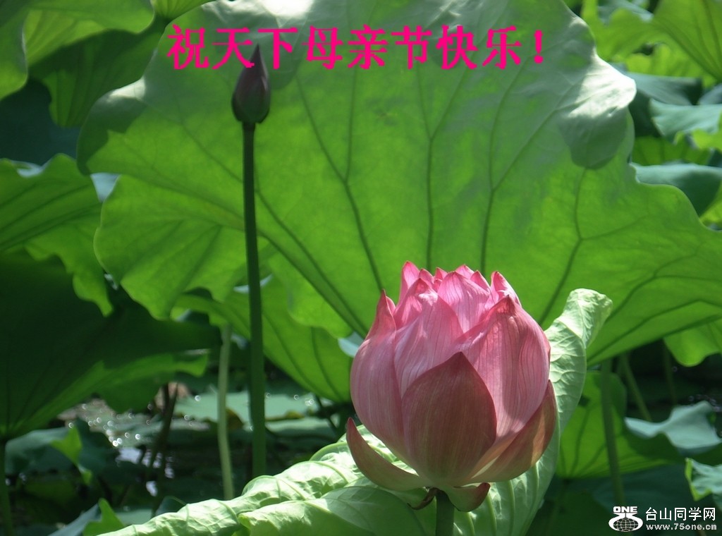 DSC053792.jpg