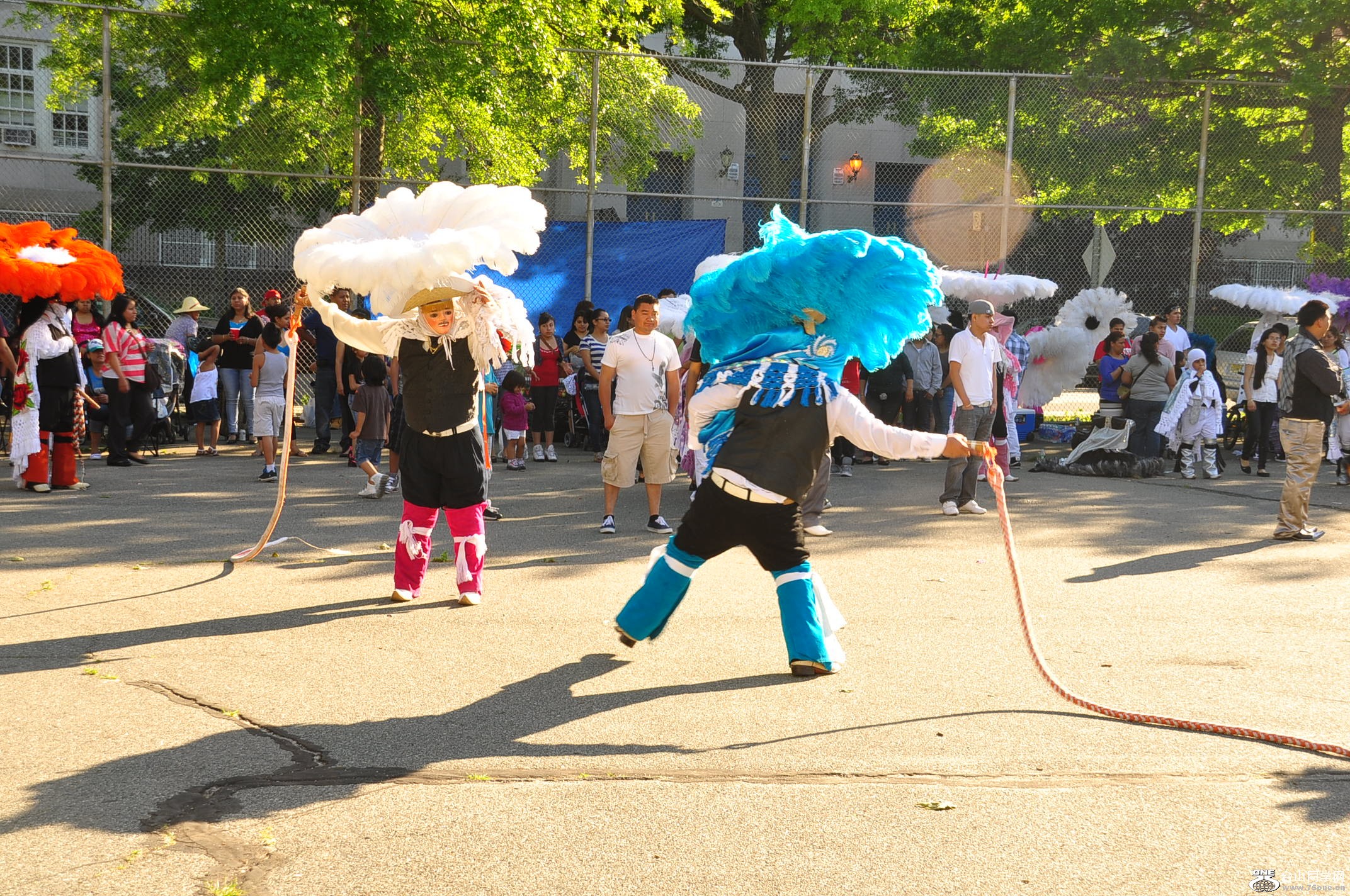 DSC_0083.JPG