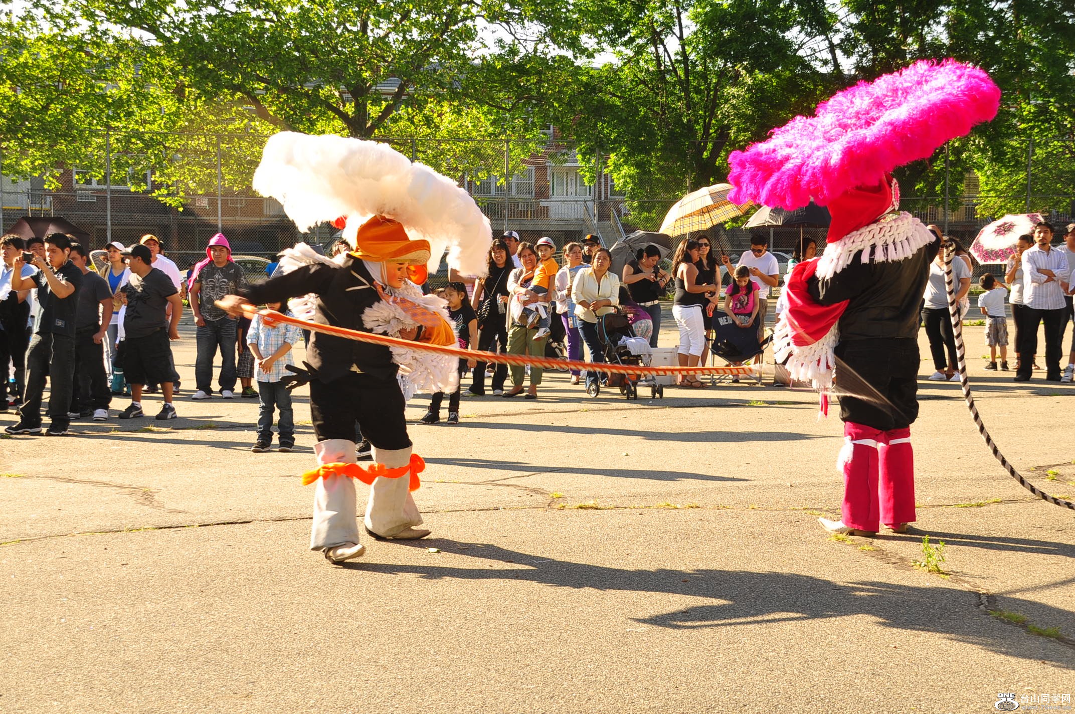 DSC_0087.JPG