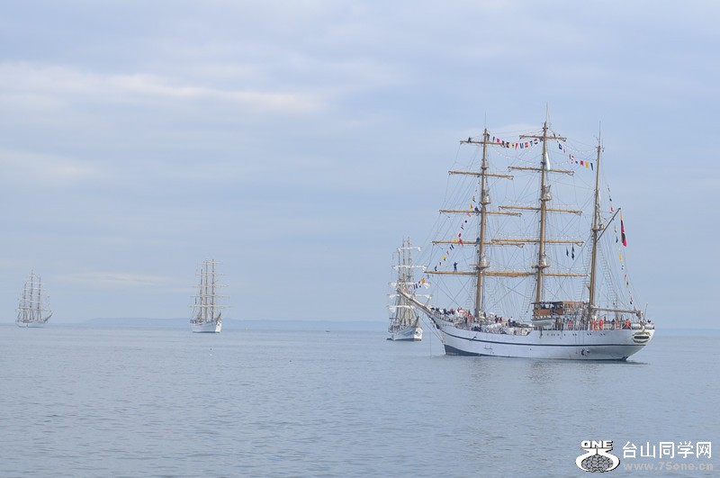 DSC_0219_.jpg