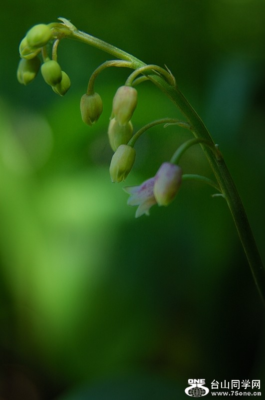 DSC_0181s.jpg