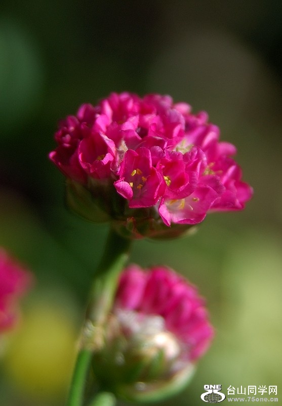 DSC_0178s.jpg