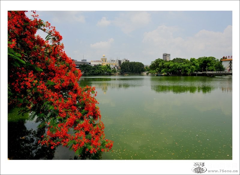 DSC_1284_conew1.jpg