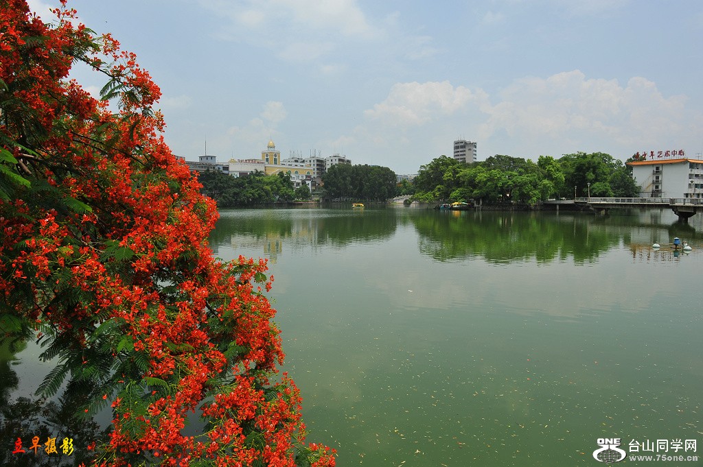 DSC_1819.JPG