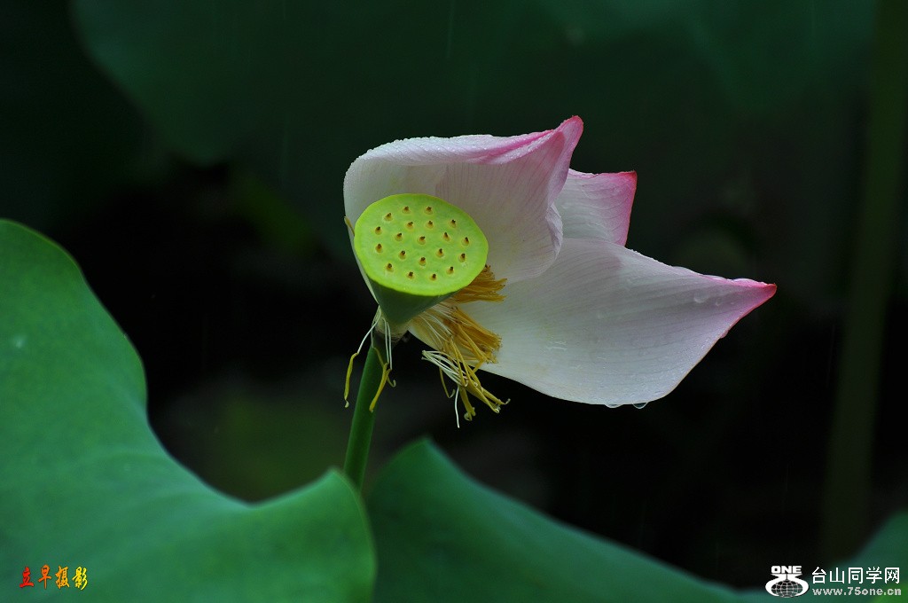 DSC_0064.JPG
