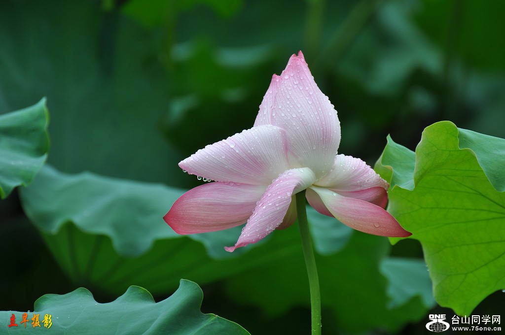DSC_0108.JPG