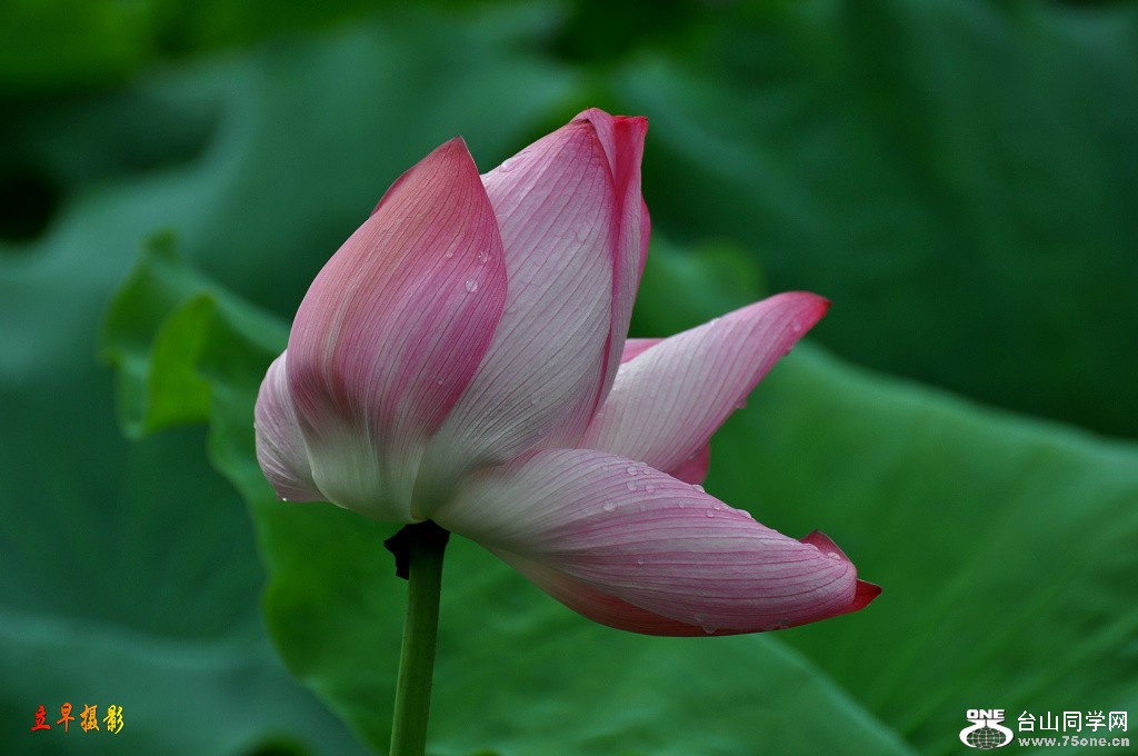 DSC_0038.JPG