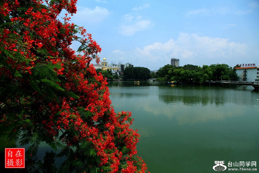 _MG_0013.jpg
