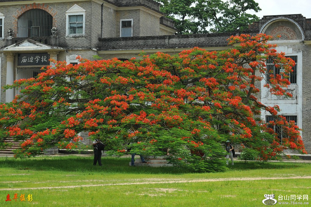 DSC_1805.JPG