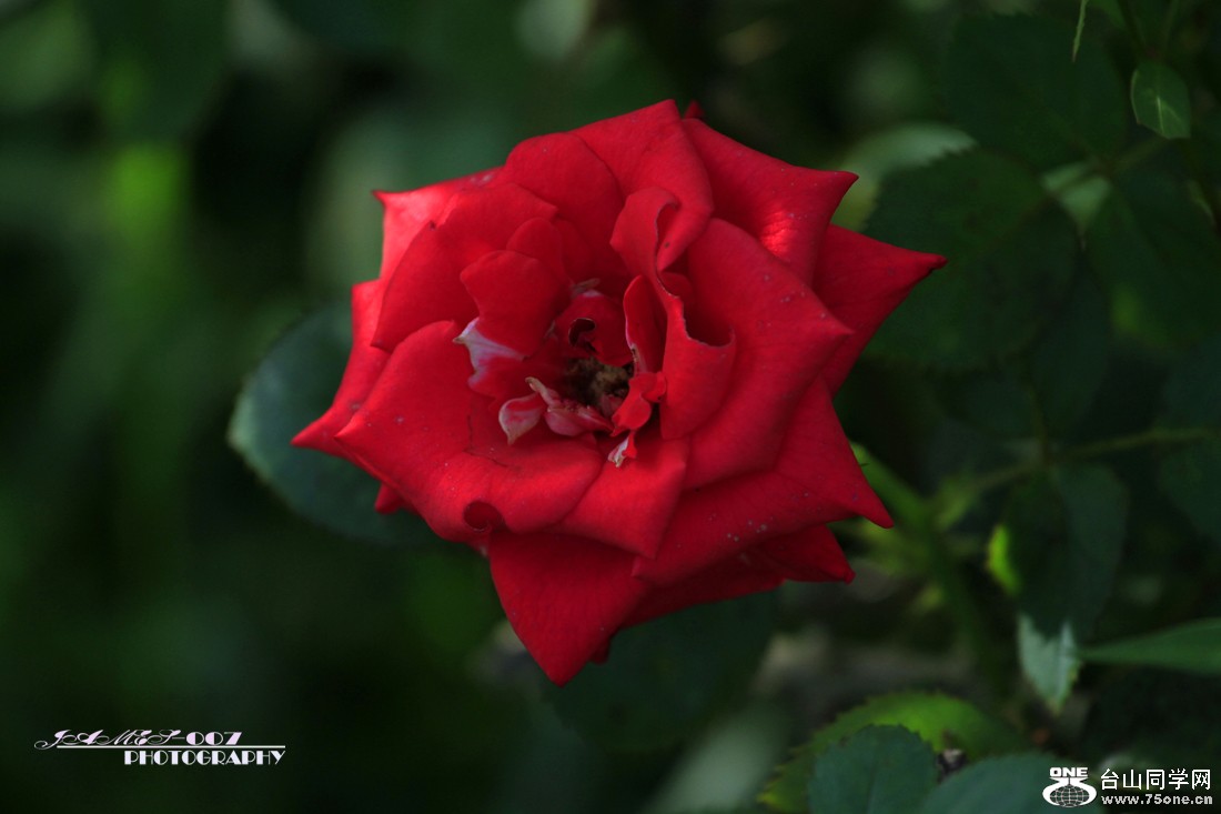 _MG_5465.JPG