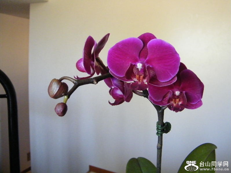 DSCF4117.JPG