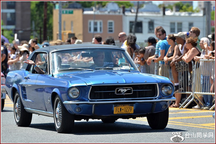 DSC_6638.jpg