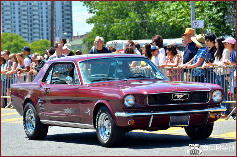 DSC_6669.jpg