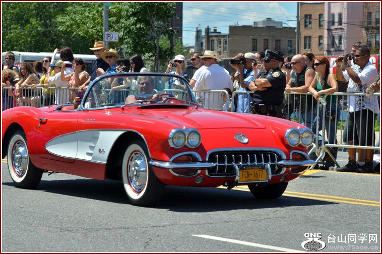 DSC_6623.jpg