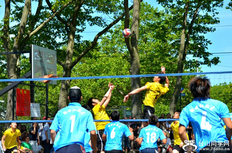 DSC_7562.jpg