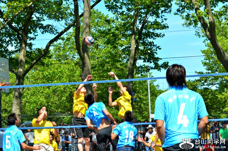 DSC_7557.jpg