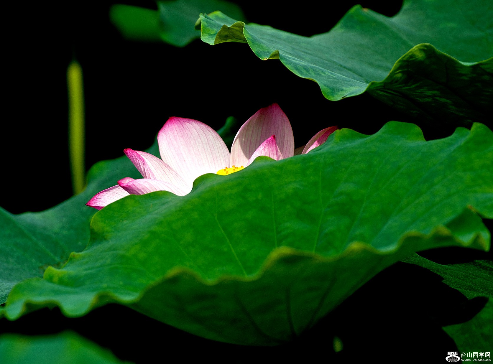 DSC_2821.jpg