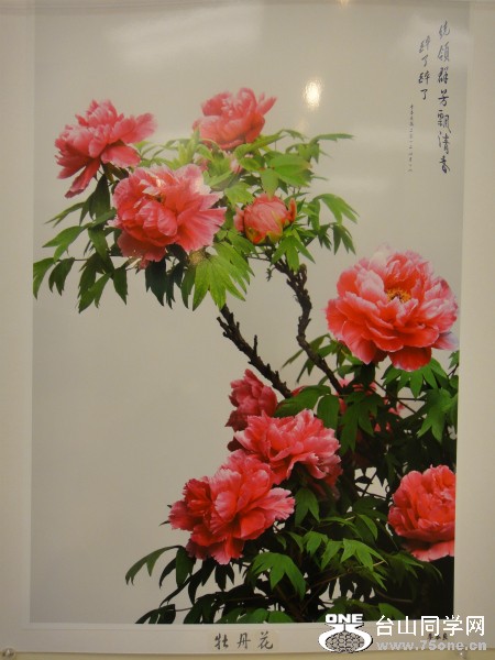 DSC09677.JPG